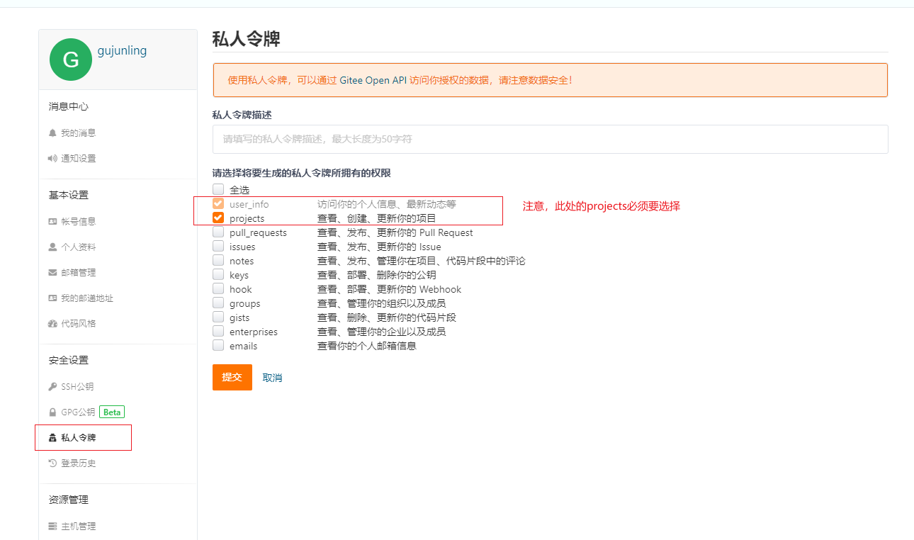 gitee的设置页面中选择新建私人令牌